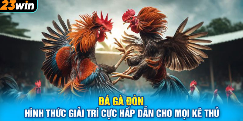 Đá Gà Đòn - Hình Thức Giải Trí Cực Hấp Dẫn Cho Mọi Kê Thủ